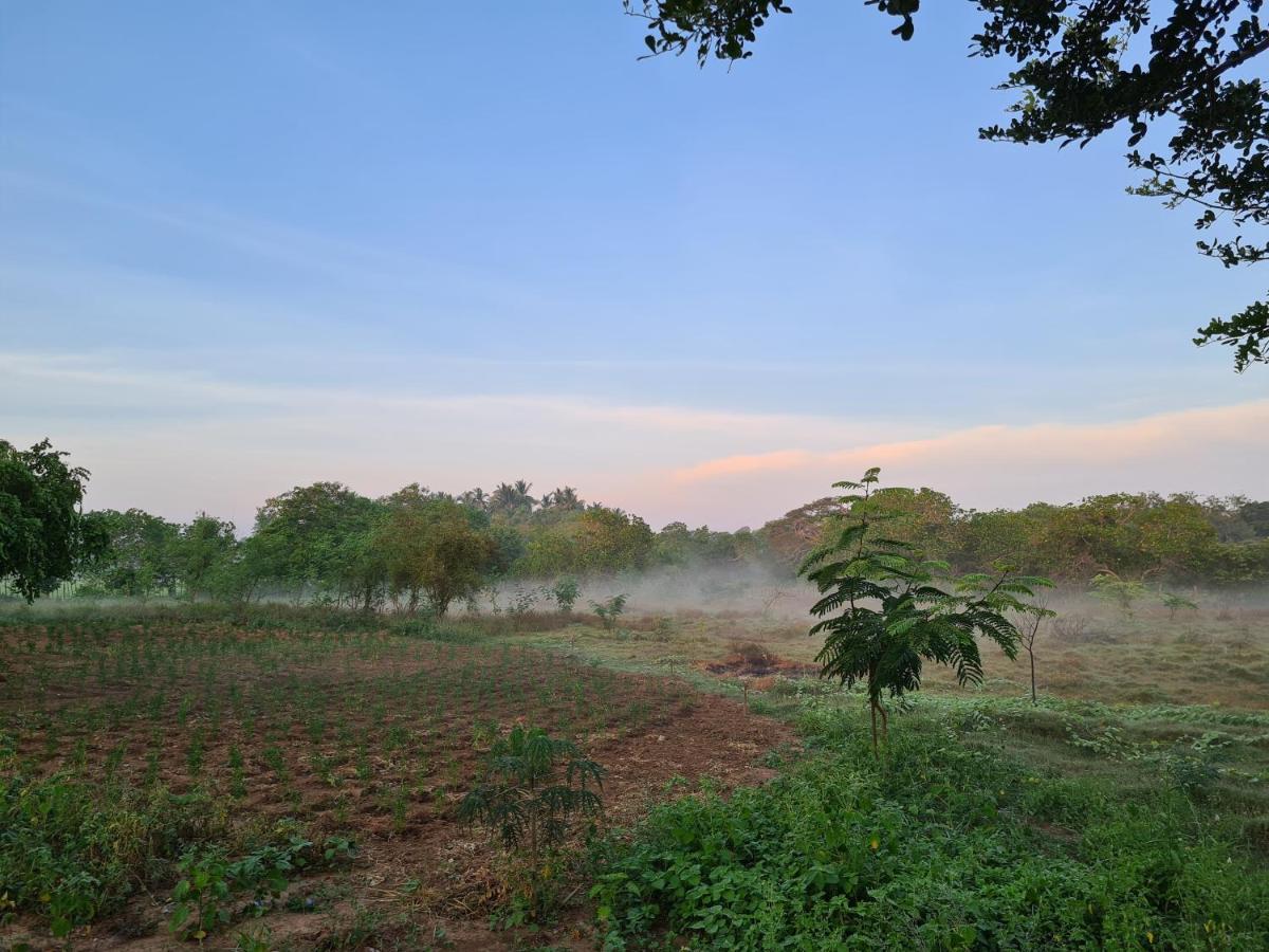Ranakeliya Lodge - Yala Esterno foto