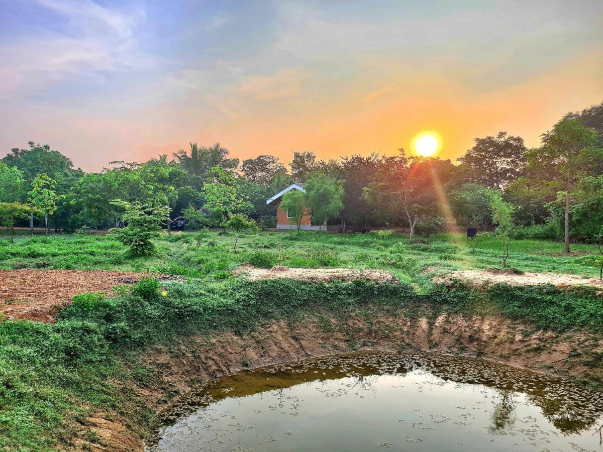 Ranakeliya Lodge - Yala Esterno foto