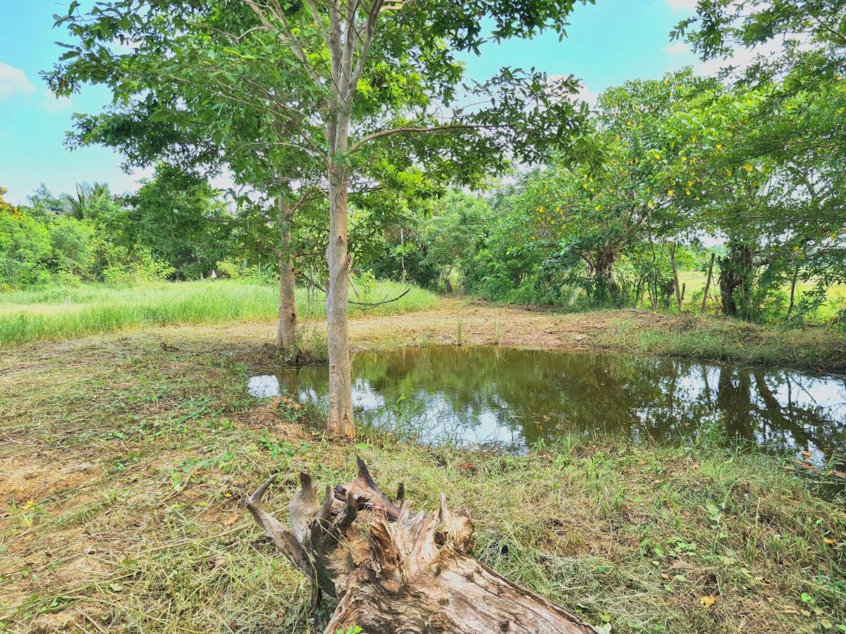 Ranakeliya Lodge - Yala Esterno foto