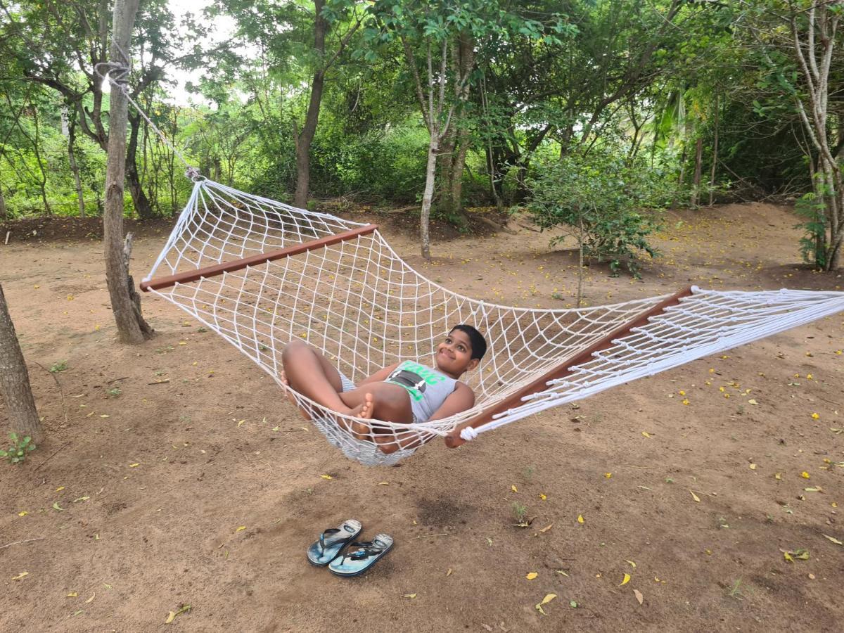 Ranakeliya Lodge - Yala Esterno foto