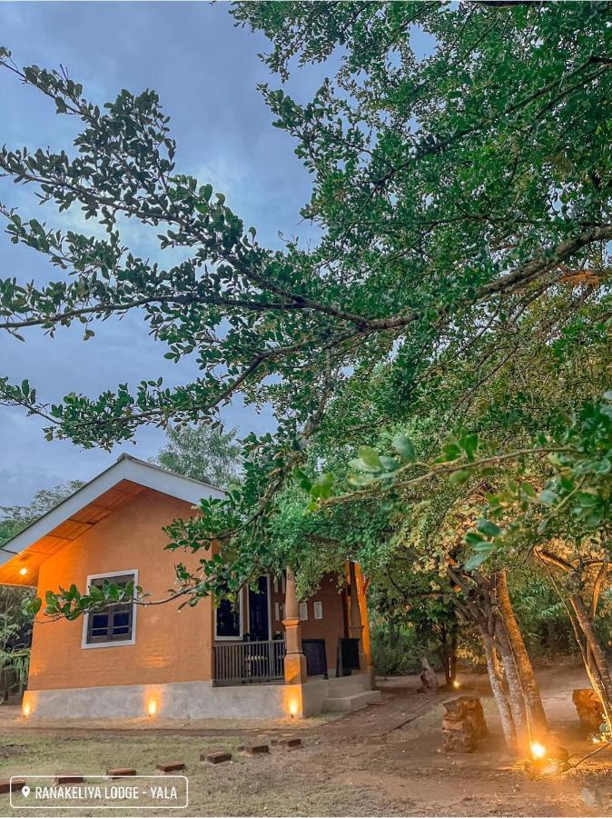 Ranakeliya Lodge - Yala Esterno foto
